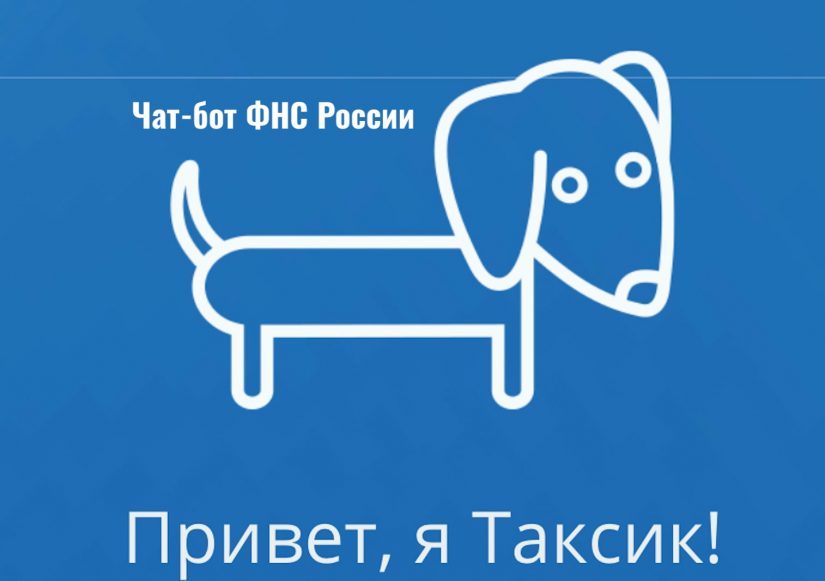 2020-06-06_02-02-08-min чат-бот ФНС